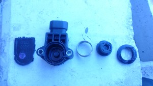 DSC_0059.JPG